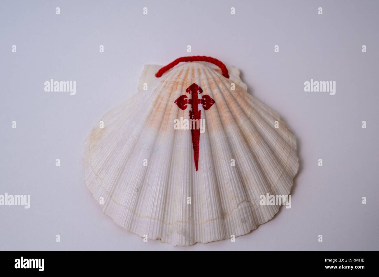 Pilgrim Scallop coquillages avec la Croix de l'ordre de Santiago. Symbole typique de pèlerinage sur le chemin de saint james. Banque D'Images