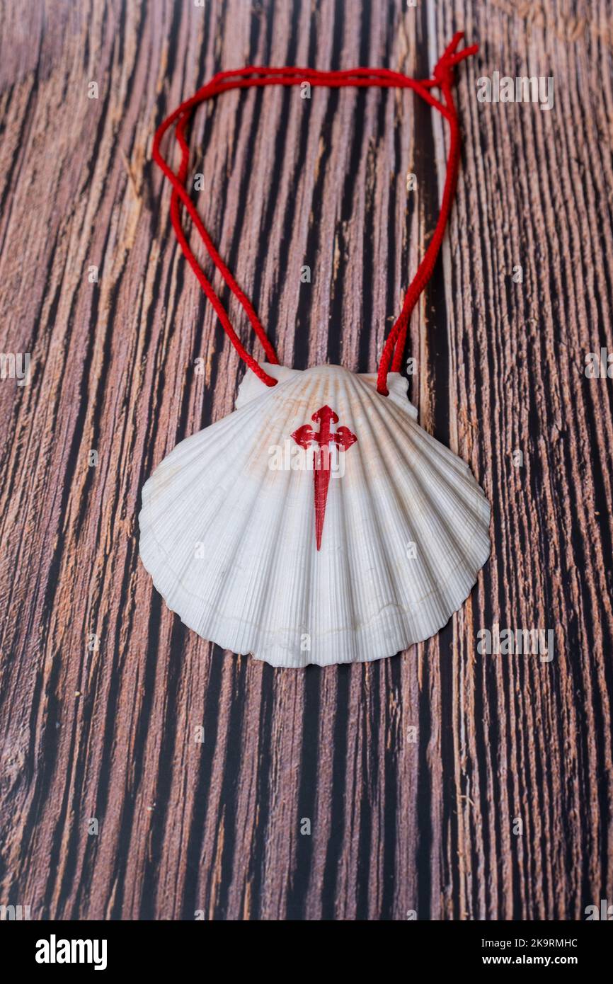 Pilgrim Scallop coquillages avec la Croix de l'ordre de Santiago. Symbole typique de pèlerinage dans le chemin de saint james isolé sur bois Banque D'Images