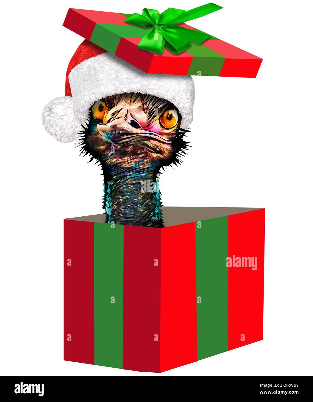 Un oiseau d'émeu aux yeux larges et fous sort d'une boîte cadeau de Noël dans une illustration de 3 jours Banque D'Images