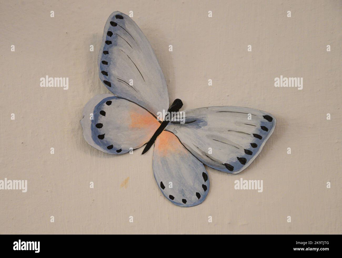 Des papillons de différentes formes et tailles sont exposés dans une exposition en Italie. Banque D'Images