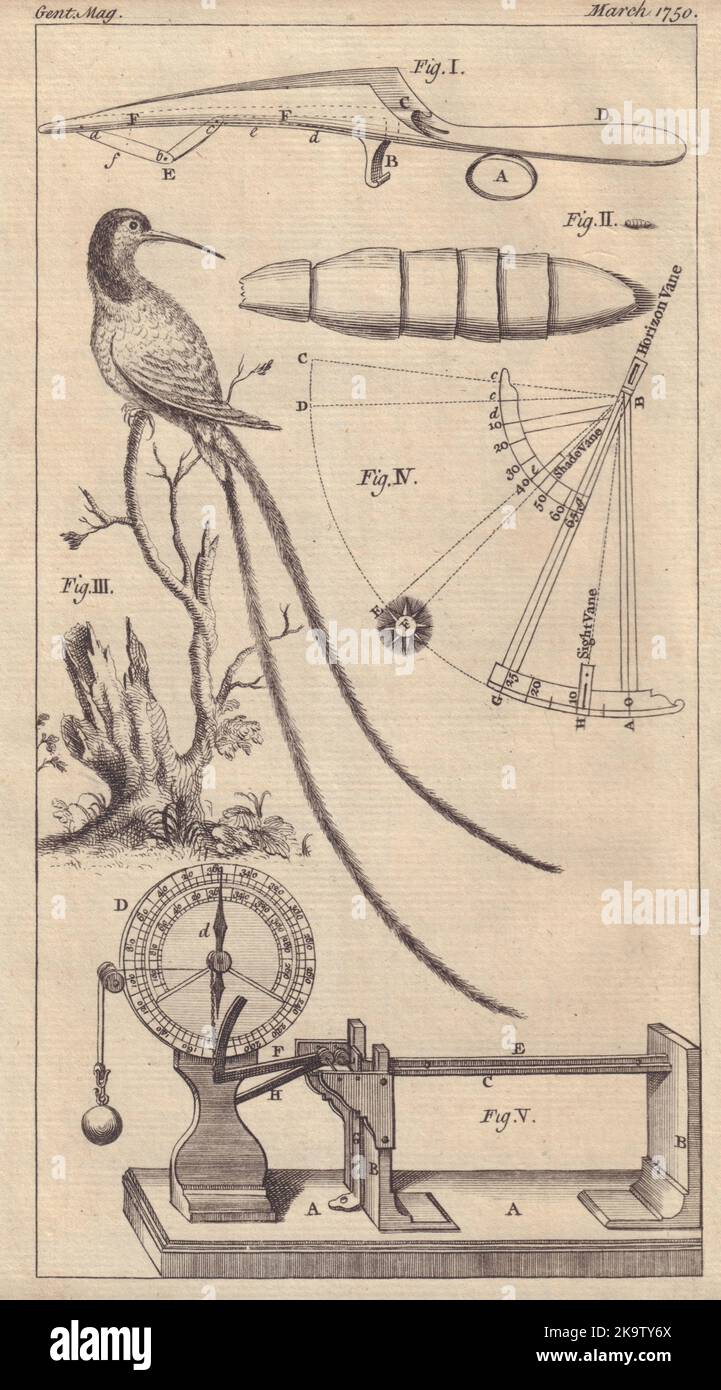 Instrument chirurgical de gorget le quadrant de Davis Hummingbird le pyromètre d'Ellicot 1750 Banque D'Images