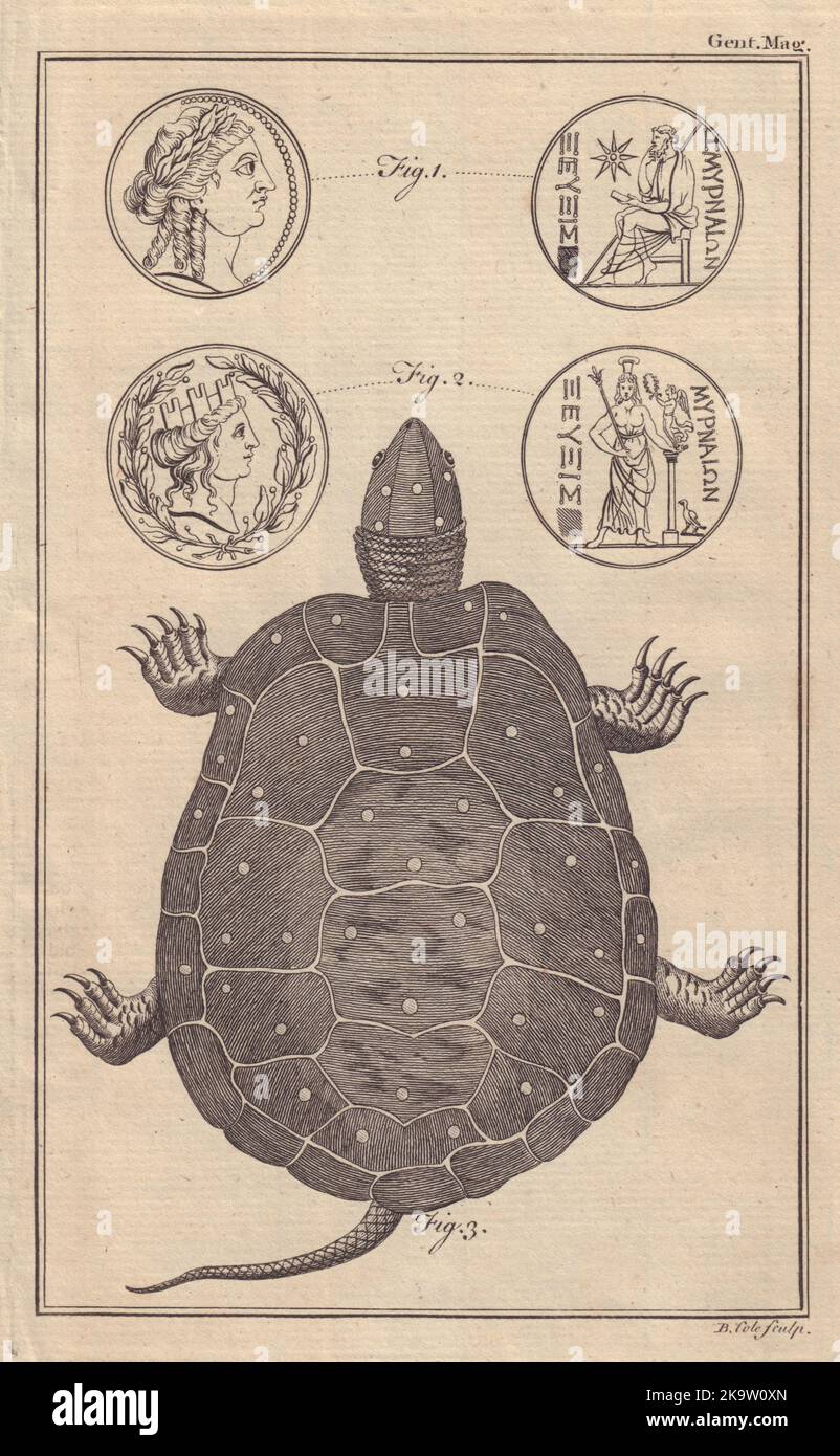 Pièce grecque. Tortue cloutée d'or de Pennsylvanie. Impression GENTS MAG 1758 Banque D'Images