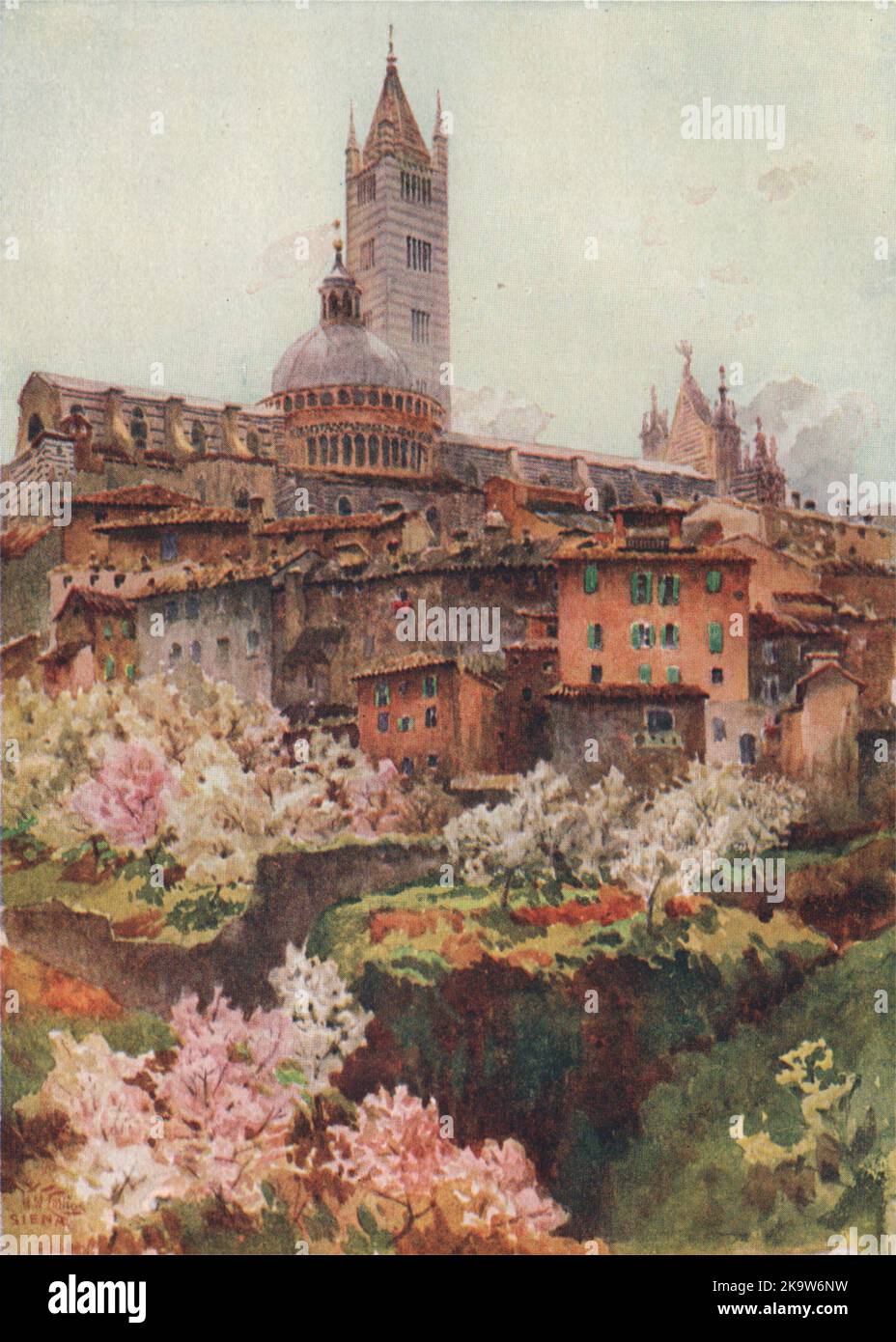 SIENNE.'La cathédrale, Sienne' par William Wiehe Collins.Vieux imprimé de l'Italie 1911 Banque D'Images