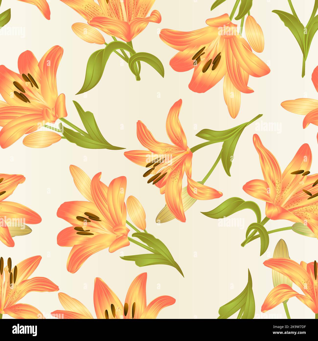 Texture sans couture jaune Lily Lilium candidum, fleur avec feuilles et bourgeons vintage vecteur illustration modifiable main dessinée Illustration de Vecteur
