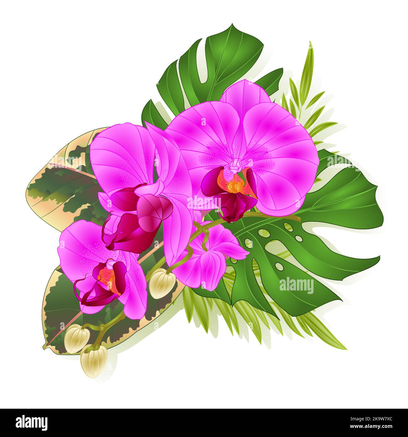Bouquet de fleurs tropicales arrangement floral de style hawaïen, avec belle orchidée pourpre, palmier, philodendron et illustration de vecteur de ficus vintage Illustration de Vecteur