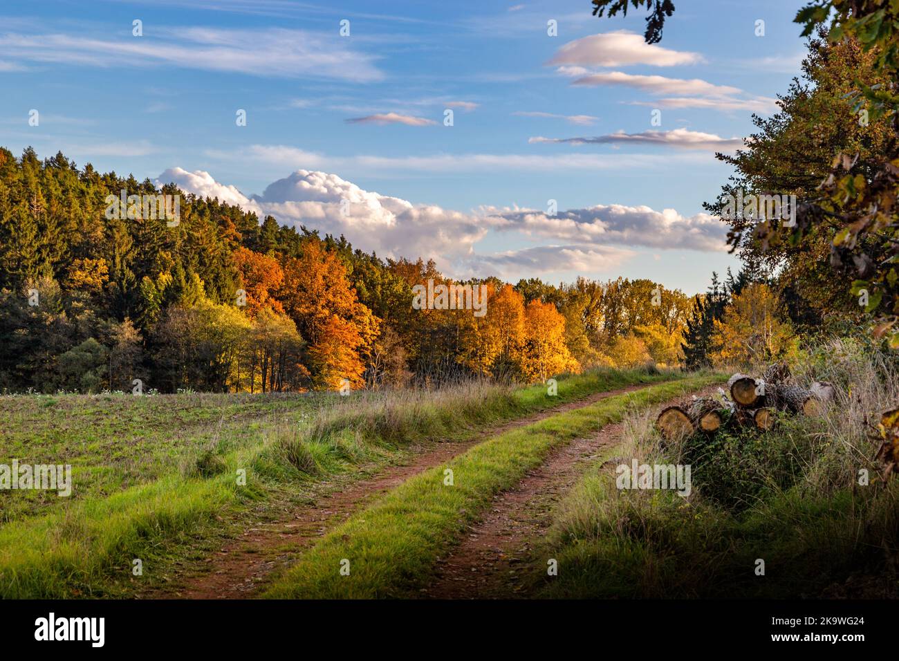 Soirée d'automne ensoleillée sur la prairie. Paysage rural pittoresque. Banque D'Images