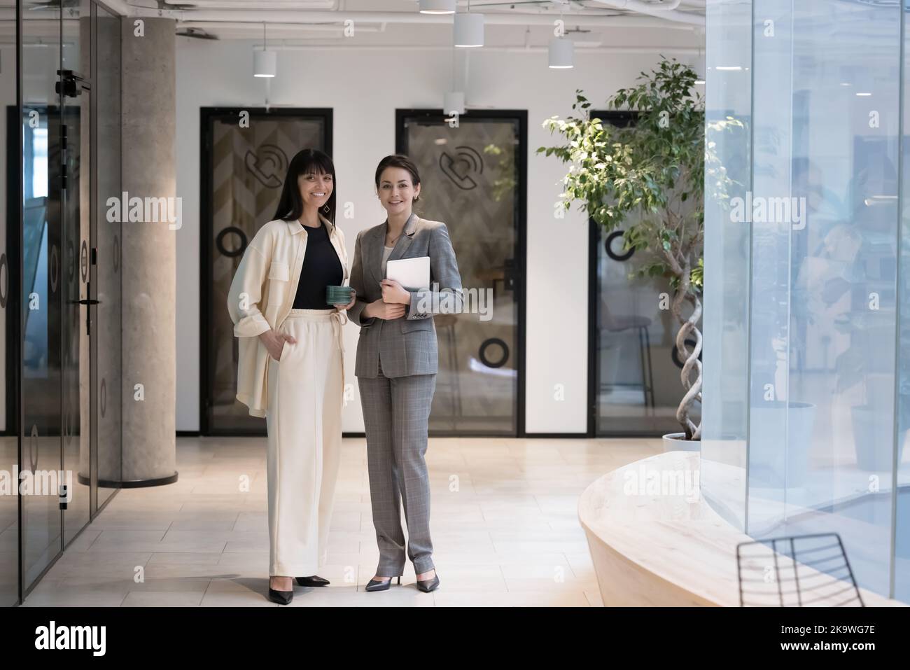 Deux femmes d'affaires élégantes et réussies en costumes habillés posent au bureau Banque D'Images