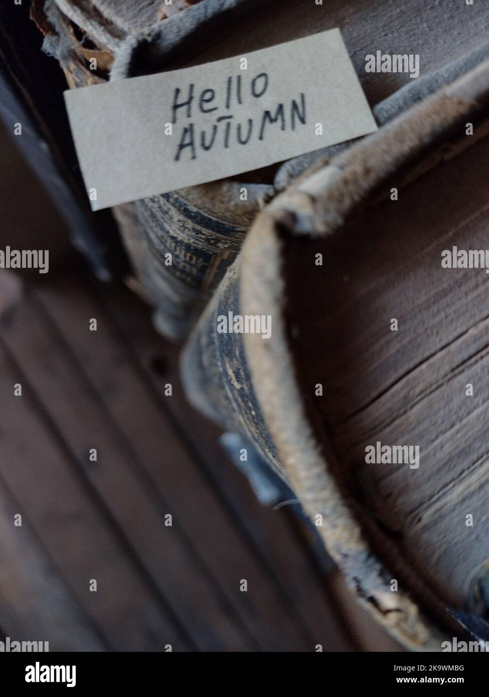 Bonjour automne, concept créatif. L'inscription sur l'étiquette. Banque D'Images