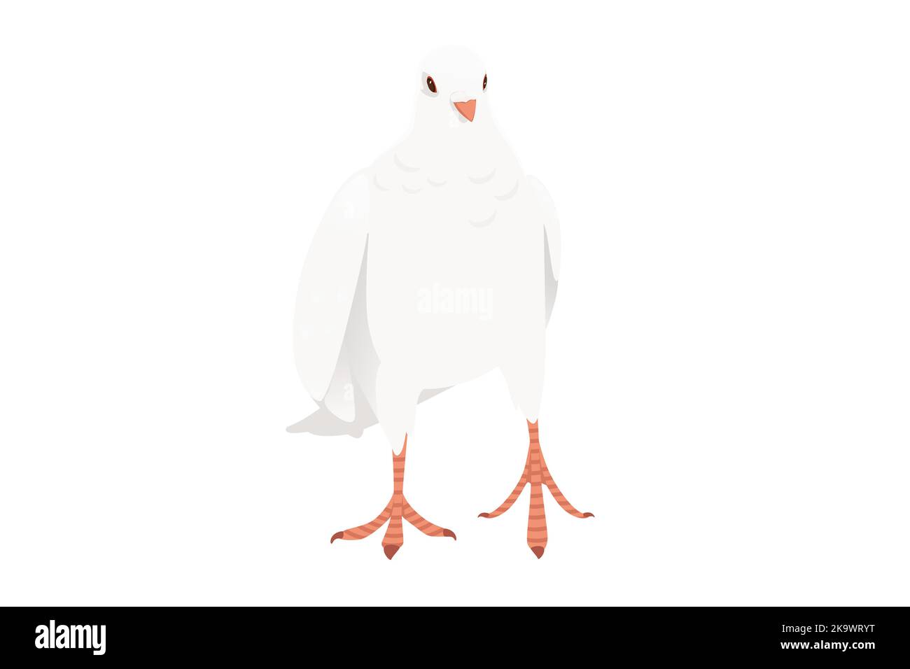 Oiseau colombe de pigeon blanc symbole de la paix vecteur illustration dessin animé animal conception isolée sur fond blanc Illustration de Vecteur