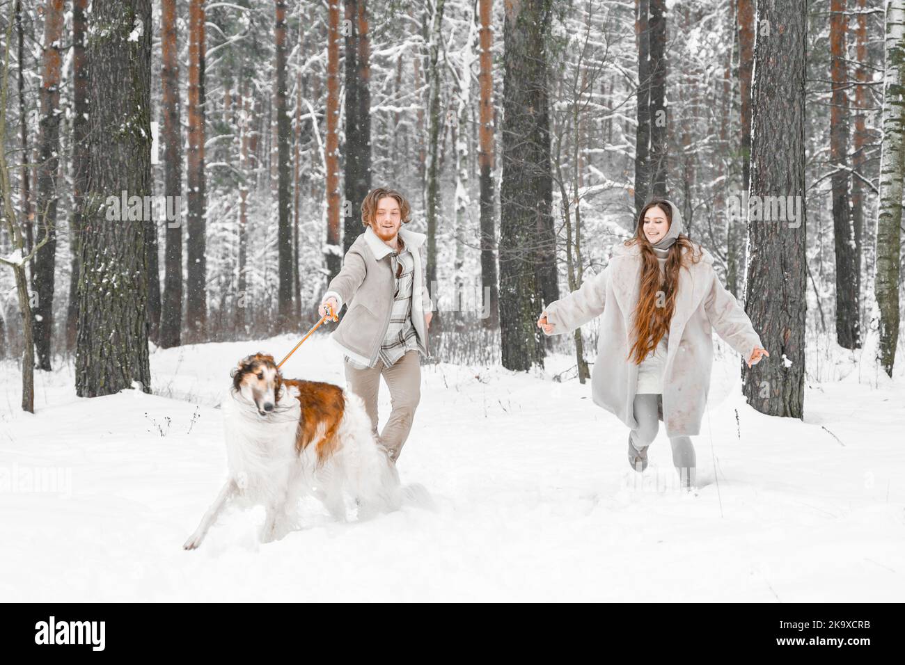 Amour romantique jeune couple fille, gars dans neige froid forêt d'hiver marchant avec animal, chien de chasse race russe borzoi. Sighthound, propriétaire de wolfdrier. H Banque D'Images