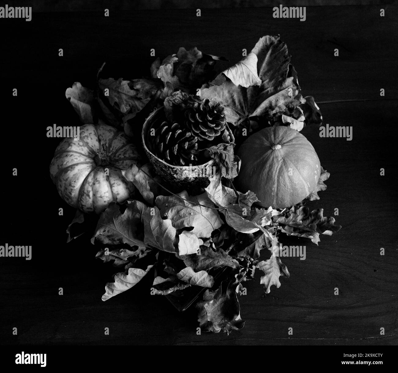 La vie morte d'automne - feuilles d'automne gourdes, petits potiron et cônes de pin Banque D'Images