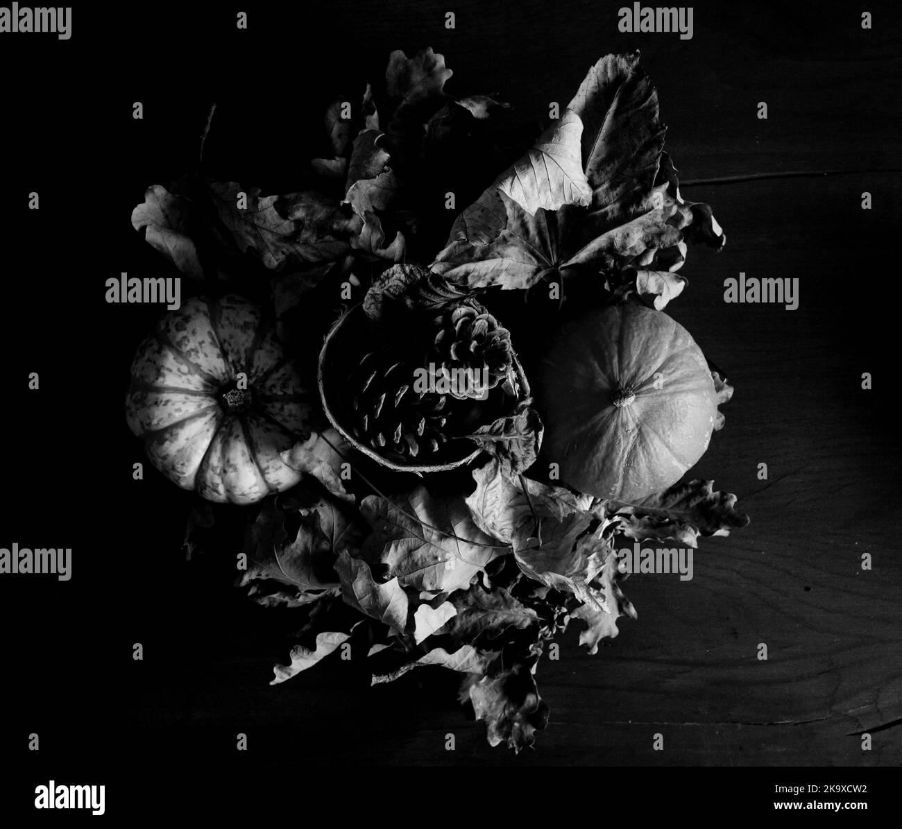 La vie morte d'automne - feuilles d'automne gourdes, petits potiron et cônes de pin Banque D'Images