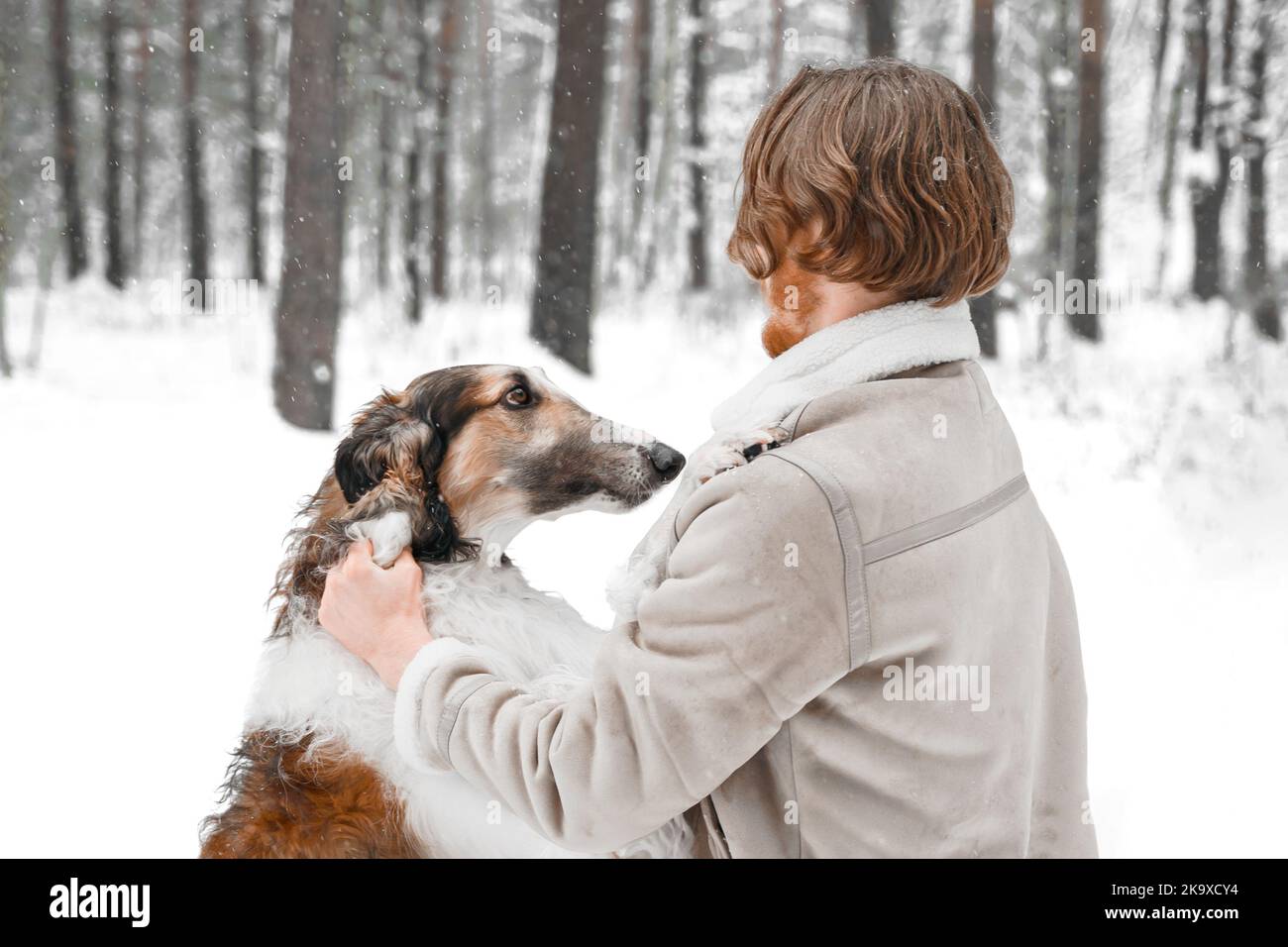 Jeune homme beau dans la neige froide hiver gel forêt marchant avec un animal de compagnie, chien de chasse race russe borzoi. Sighthound, propriétaire de wolfdrier. S'amuser, l Banque D'Images