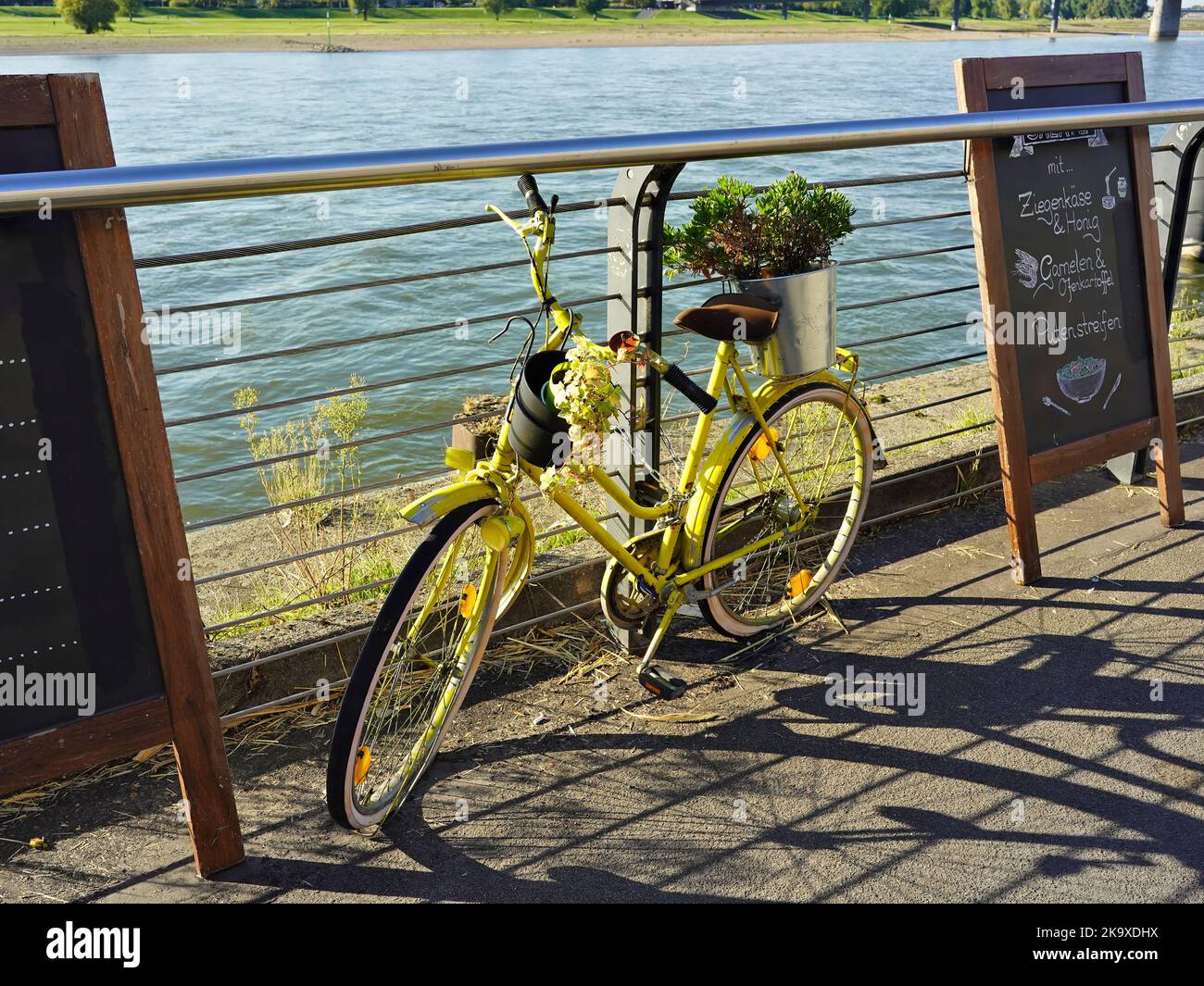 Vélo jaune décoratif sur la promenade du Rhin à Düsseldorf, en Allemagne. Banque D'Images