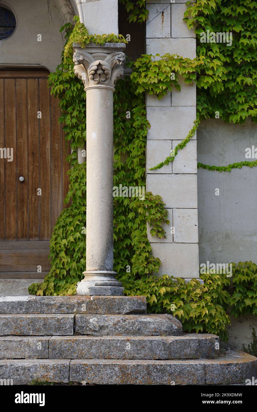 Colonne néoclassique ou classique, Old Stone Steps & Peppervine, Ampelopsis glandulosa, alias Pepper Vine ou Porcelainberry Banque D'Images