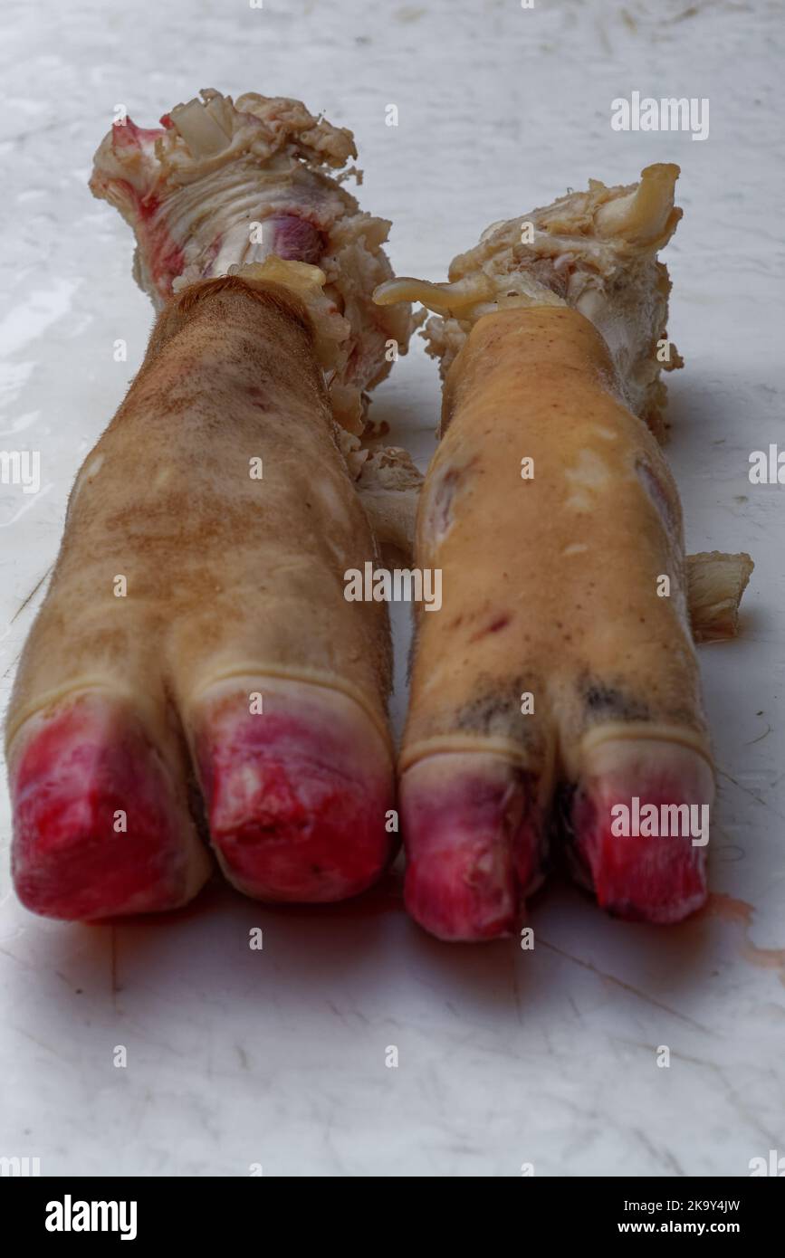 Le marché aux poissons de Catane est animé, boistureux, coloré, et grity avec une atmosphère exaltante. Banque D'Images