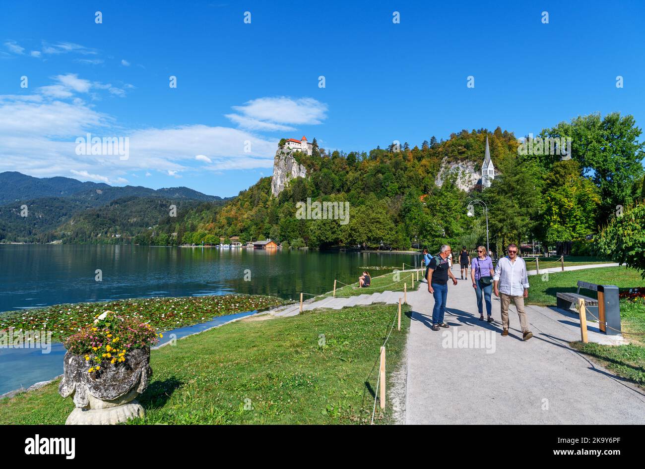 Vue sur le bord du lac en direction du château de Bled, village de Bled, lac de Bled, Slovénie Banque D'Images