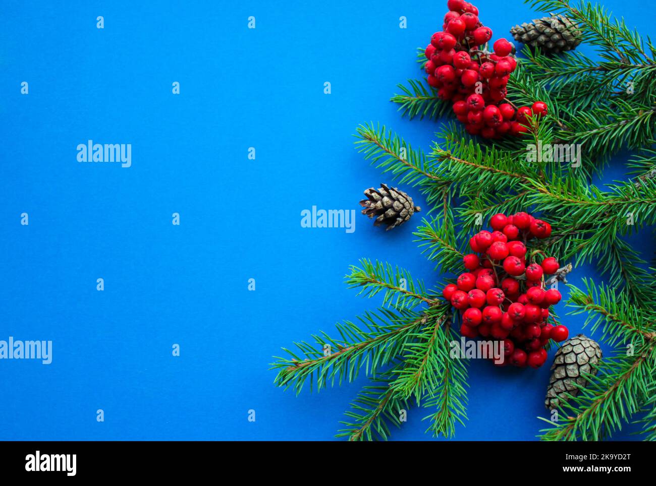 L'esprit de Noël : branches de sapin, cônes, baies de rowan rouge vif sur fond bleu foncé vif avec espace pour le texte Banque D'Images
