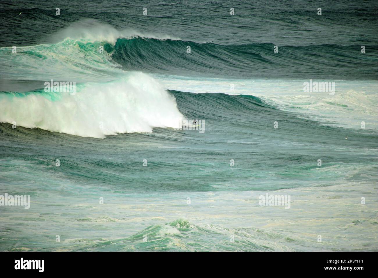 Surf Big Wave, Nazaré, Portugal Banque D'Images
