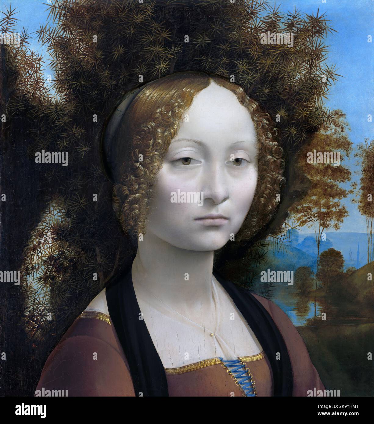 Ginevra de' Benci, 1474–1480, peinture de Léonard de Vinci Banque D'Images