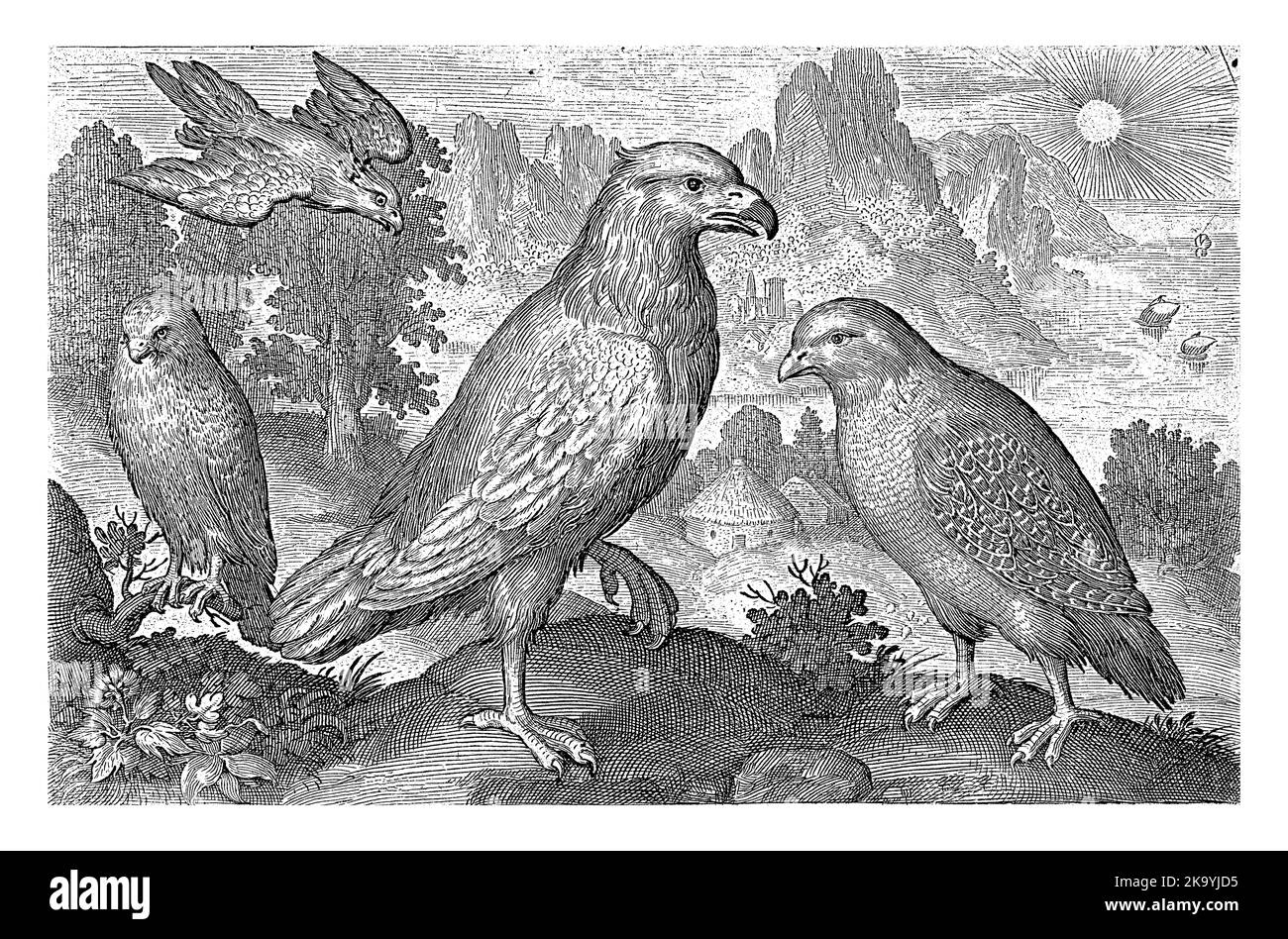 Eagle et autres oiseaux de proie, Nicolaes de Bruyn, 1594 Banque D'Images