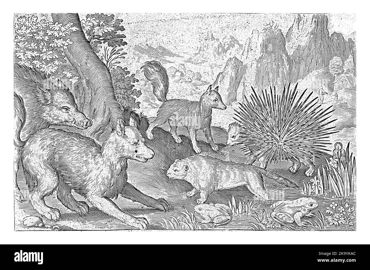 Sanglier, renards, castor, porc-épic et grenouilles, Nicolaes de Bruyn, 1621, gravé vintage. Banque D'Images