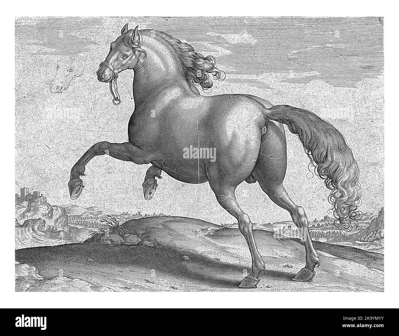 Un cheval espagnol (Hispanus Alter), vu de derrière. Il est réar. L'impression a une légende latine et fait partie de la première partie d'une série de 39 parties vers TH Banque D'Images
