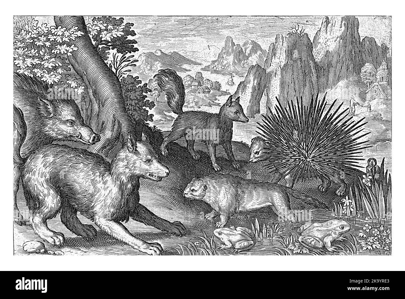 Sanglier, renards, castor, porc-épic et grenouilles, Nicolaes de Bruyn, 1594, gravé vintage. Banque D'Images
