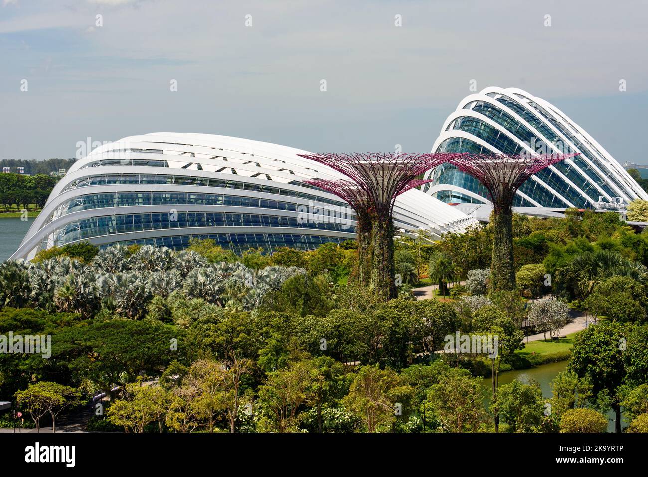Supertree Grove - Jardins près de la baie, Singapour Banque D'Images