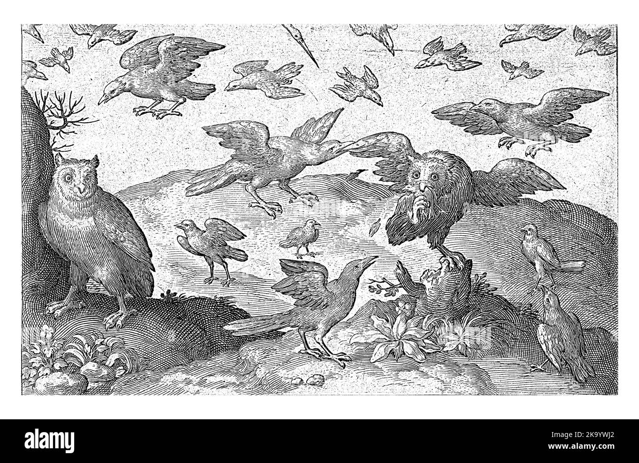 Un hibou a attrapé un petit oiseau et est pris par d'autres oiseaux, y compris les corneilles. Un deuxième hibou montres. Banque D'Images