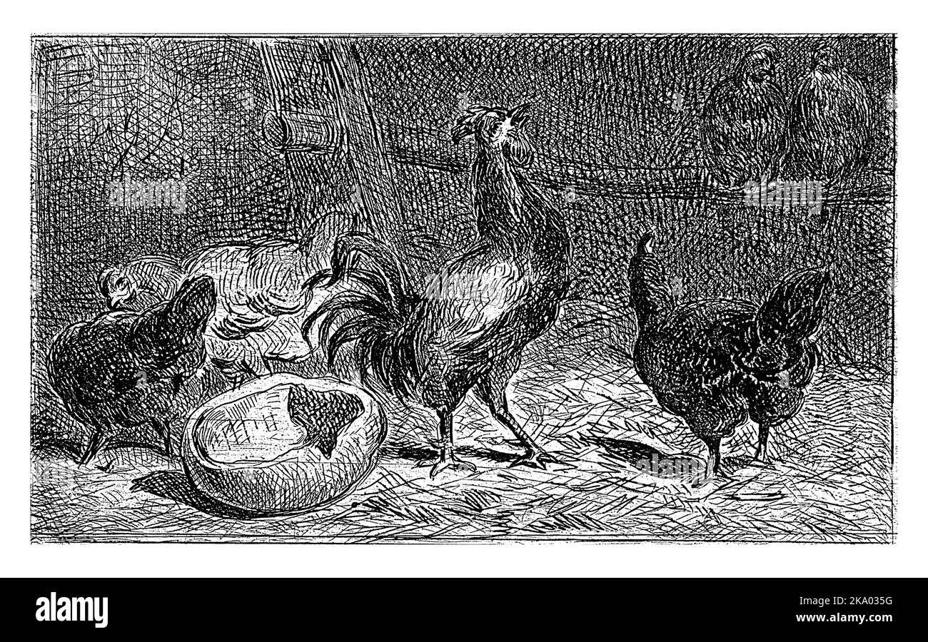 Deux poulets sont perchés dans une maison de poule. Trois autres poulets scurry autour. Au milieu se trouve un coq de couronnement. Banque D'Images