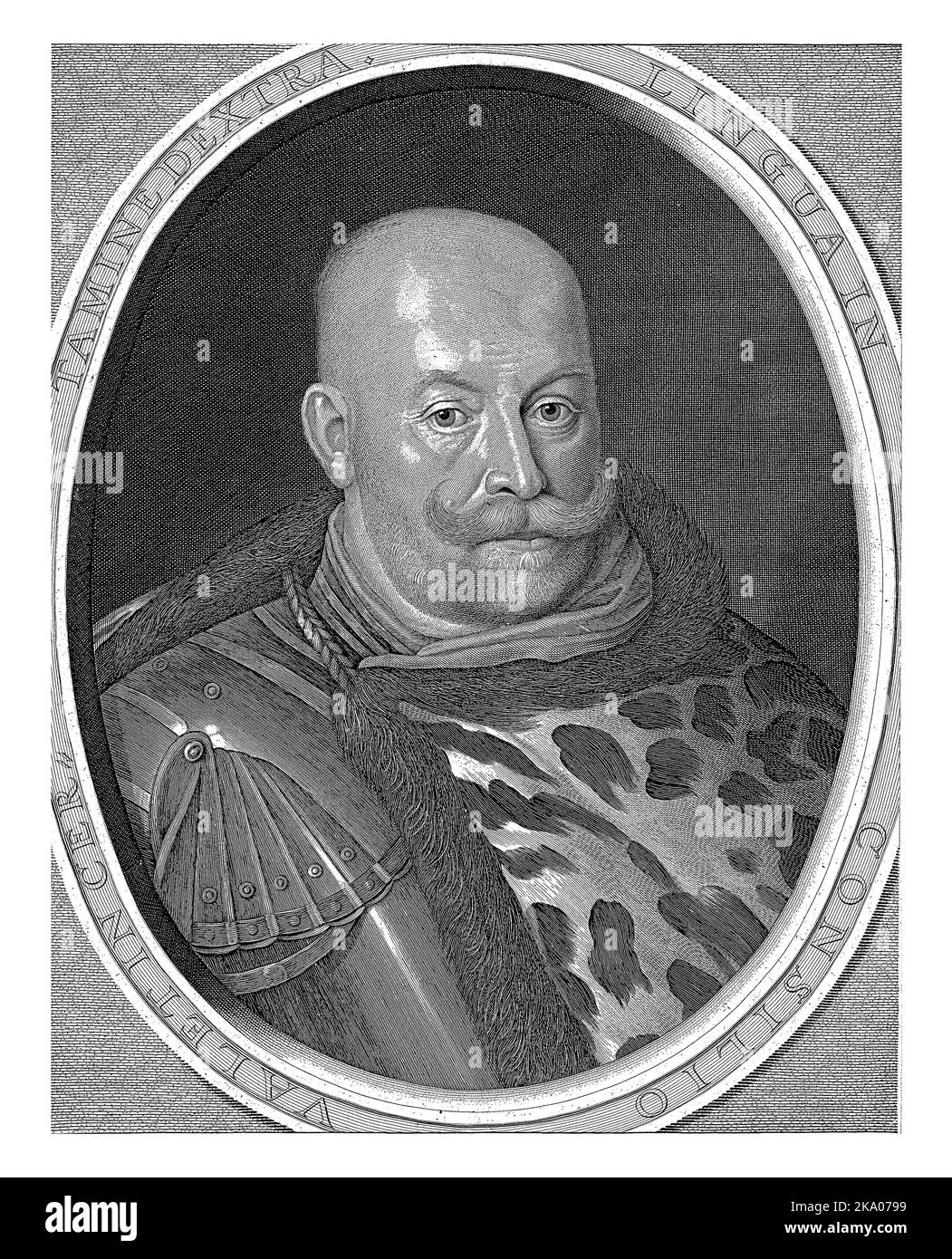 Portrait du général Christoph Radziwill, pectoral avec un manteau de vison, dans un cadre ovale avec une devise latine. Dans la marge inférieure, cinq lignes d'alphabet latin Banque D'Images