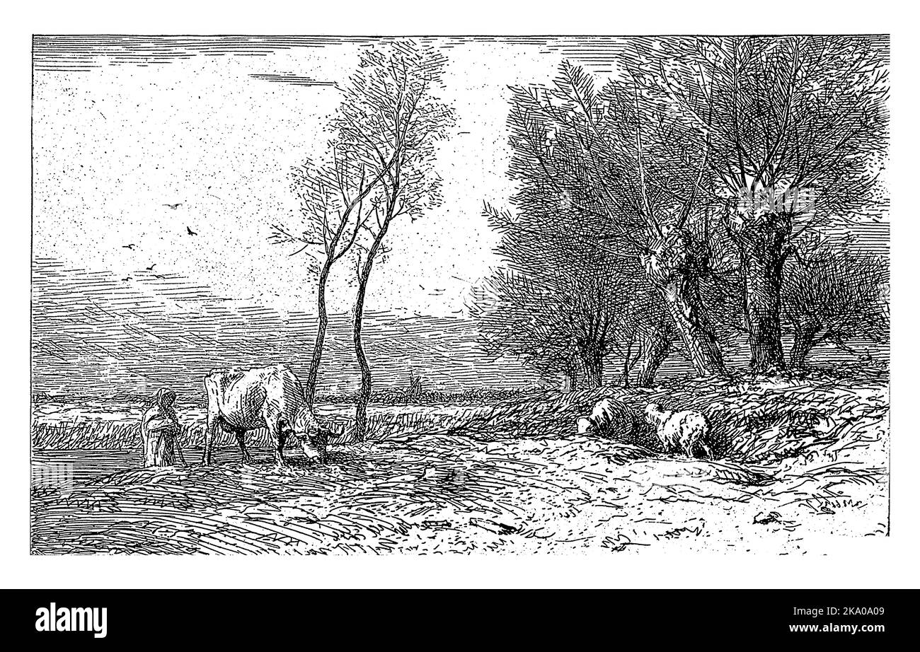 Pâture de la vache et du mouton par Pollard Willows, Charles Emile Jacque, 1823 - 1894, gravé d'époque. Banque D'Images