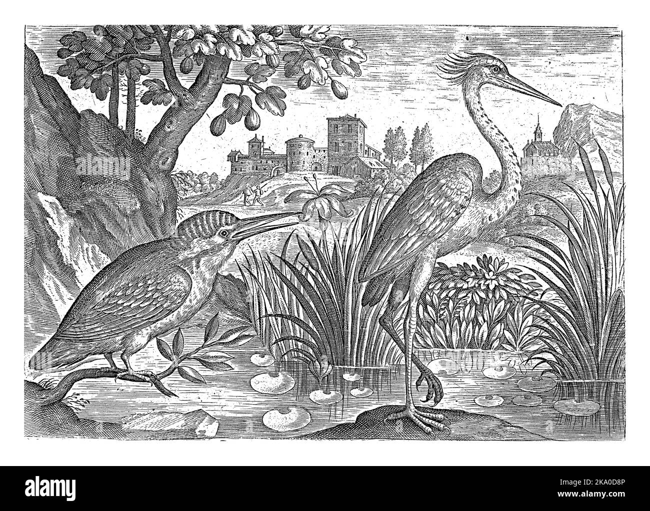 Un kingfisher et un héron bleu dans un étang. En arrière-plan une forteresse. L'impression fait partie d'une série avec des oiseaux comme sujet. Banque D'Images