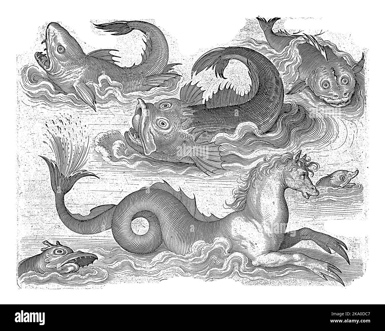 Animaux aquatiques fantastiques, y compris hippocampe avec inscriptions en latin et néerlandais identifiant les animaux. Banque D'Images