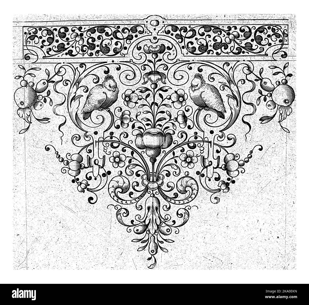 Spire avec fleur et deux oiseaux, Laurent Jansz Micker, d'après Adriaen Muntinck, c. 1675 - c. 1700 en haut, une bordure de tendriles stylisés. Feuille 3 Fro Banque D'Images