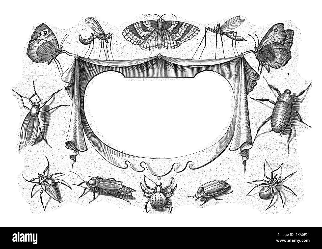 Plusieurs insectes autour d'une cartouche avec le titre. Première impression à partir d'une série de tirages avec insectes. Banque D'Images