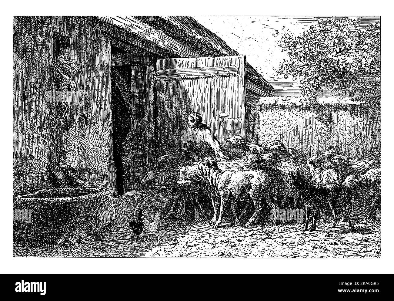 Femme menant Sheep à l'écurie, Charles Emile Jacque, 1865 Banque D'Images