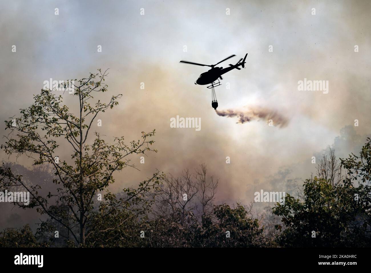 Incendie d'un hélicoptère qui larde de de l'eau sur un feu de forêt Banque D'Images