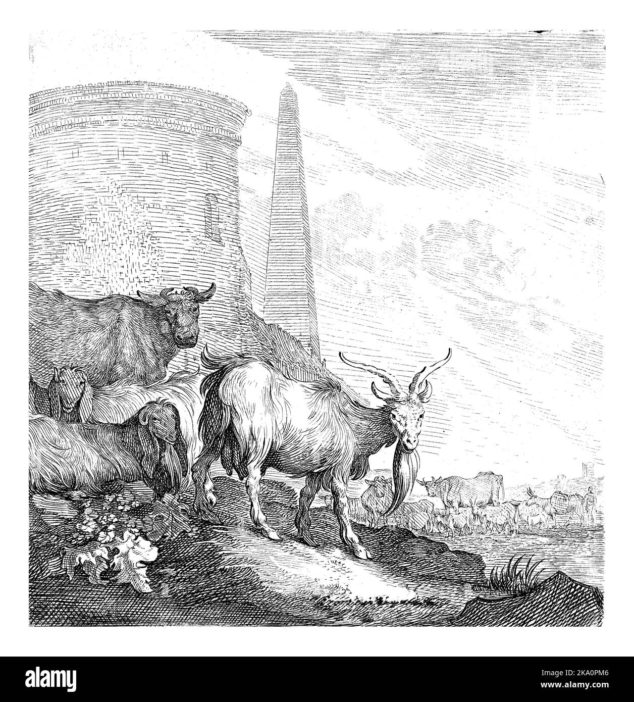 Chèvres et vaches par une tour ronde avec un Obélisque Banque D'Images