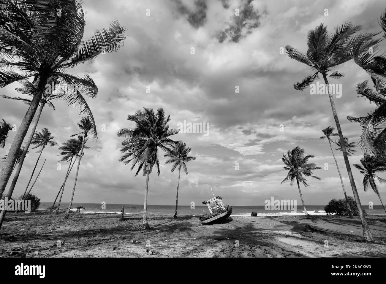 Paysage noir et blanc de village de pêcheurs avec cocotier, bateau et plage Banque D'Images