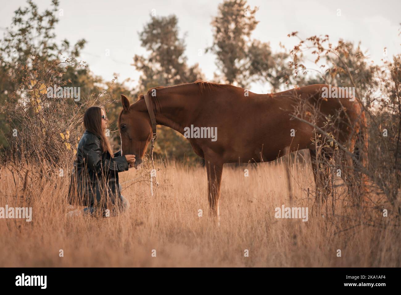 Une fille blanche en veste de cuir, des verres noirs à côté d'un cheval et pose dans la forêt au coucher du soleil, comme dans un conte de fées. Visage bien entretenu avec de beaux cosmétiques. Profitez de la nature et des animaux. Équitation dans la forêt et les montagnes. Photo de haute qualité. Banque D'Images