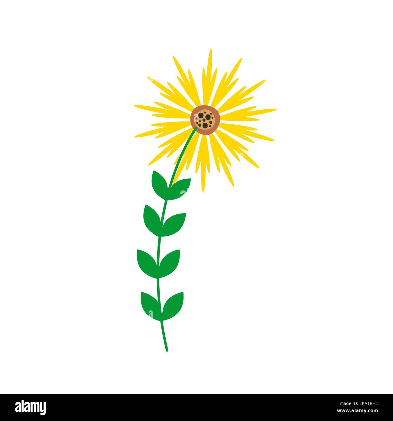 Une fleur aux pétales jaunes allongés ressemble à un tournesol. Fleurs et plantes. Illustration vectorielle de style plat Illustration de Vecteur