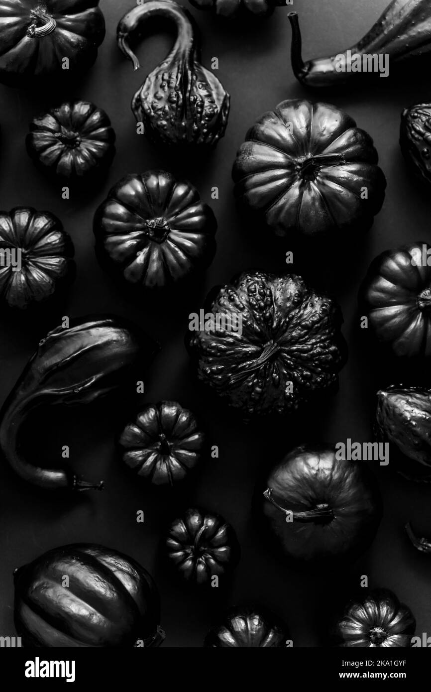 Différents types de petits citrouilles peintes en noir sur fond sombre Banque D'Images