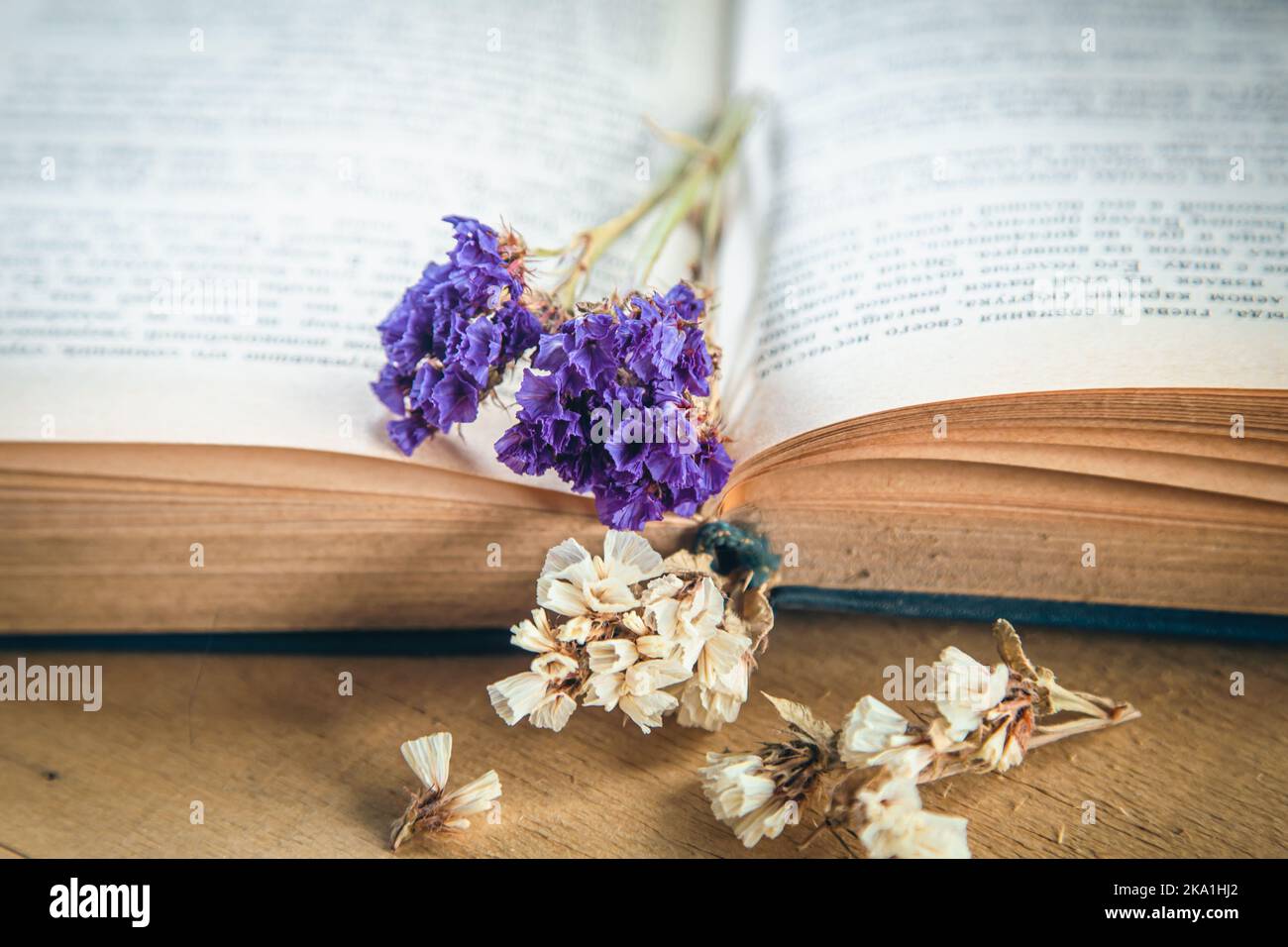 Fleur de fleurs séchées colorées sur un livre ouvert, gros plan. Banque D'Images