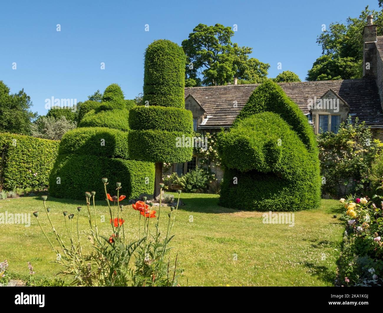 Topiaire assorties, y compris une tête de sanglier, en face d'une ancienne maison rurale dans le parc de Haddon Hall, Derbyshire, Royaume-Uni Banque D'Images