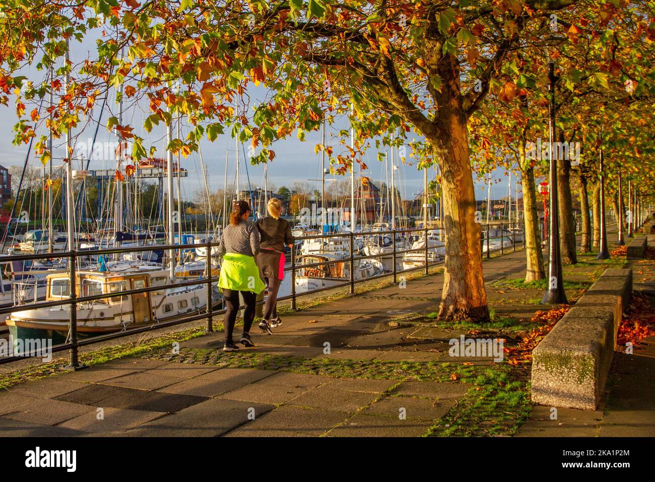 Preston, Lancashire. Météo au Royaume-Uni, 31 octobre 2022. Litière de feuilles à la fin de l'automne , chute automnale des feuilles des arbres à feuilles caduques, sur un début chaud et ensoleillé à la journée dans le nord-ouest comme le soleil s'élève au-dessus de Preston Docks. Les températures douces se poursuivent tandis que les résidents de la région profitent d'un léger exercice le long de Riverside Walk, une partie de navigation Way dans les Docklands. Crédit; MediaWorldImages/AlamyLiveNews Banque D'Images