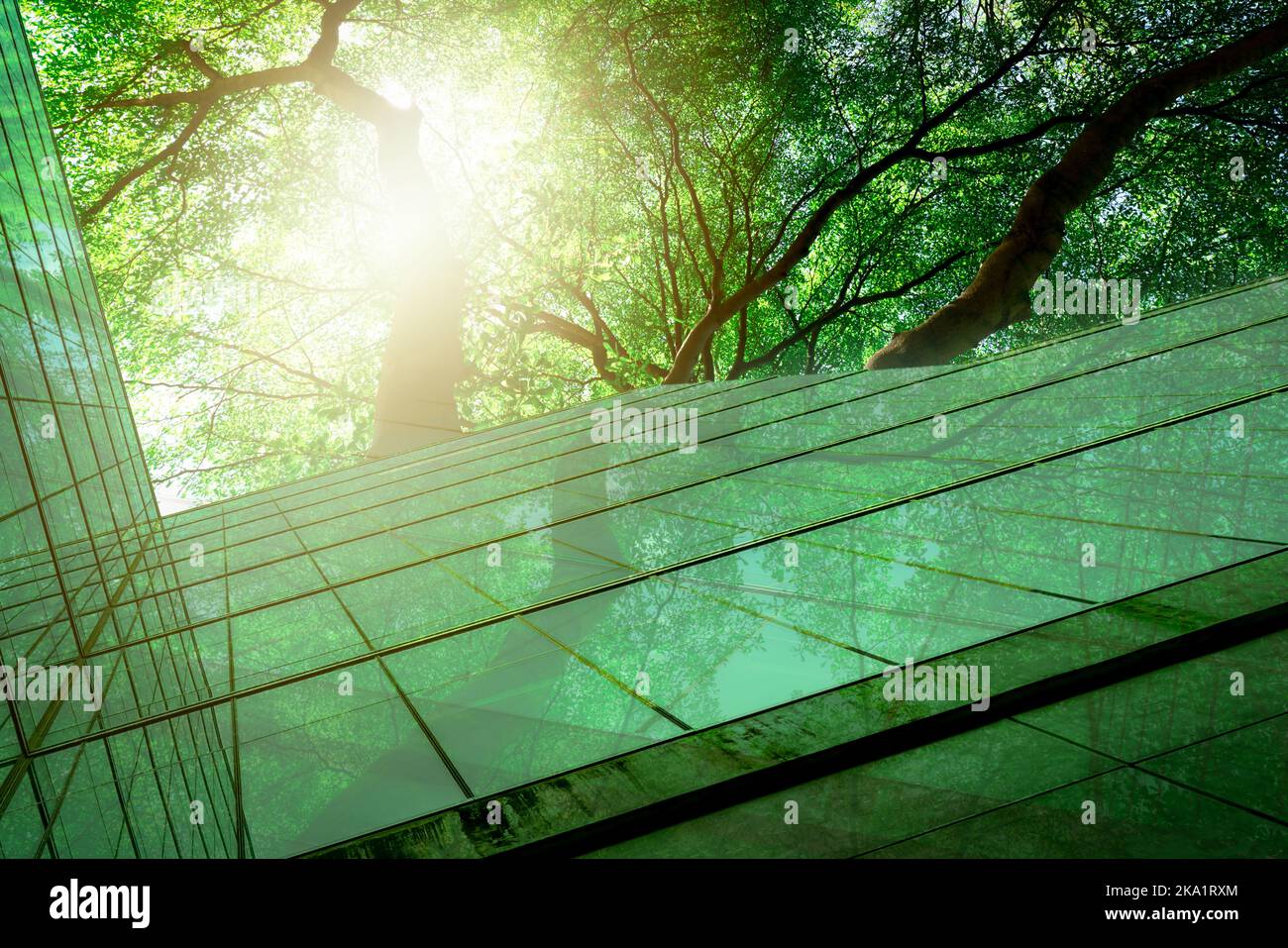 Bâtiment vert durable. Bâtiment écologique. Bâtiment de bureau durable en verre avec arbre pour réduire le dioxyde de carbone. Bureau avec vert Banque D'Images