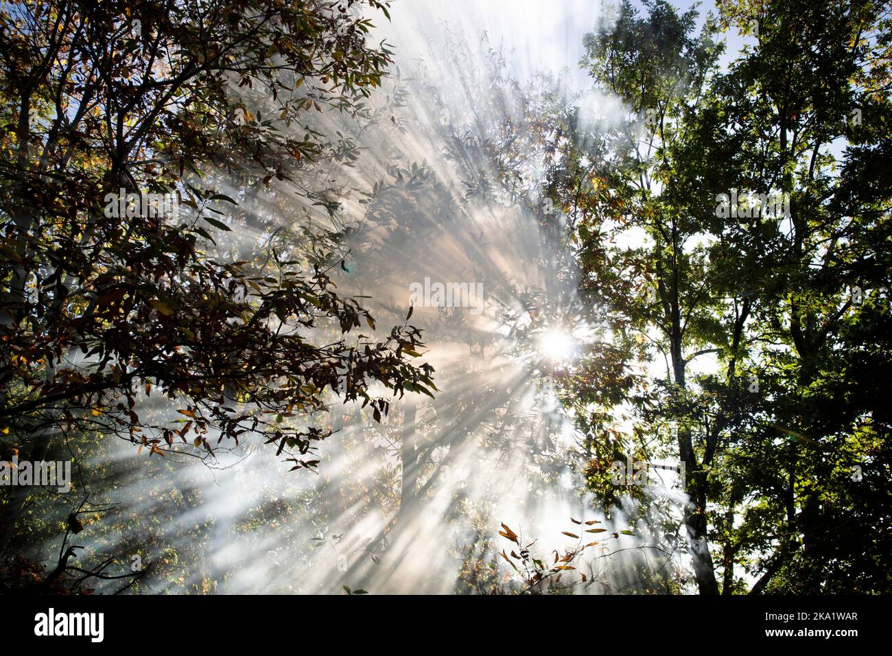 Documentation photographique de l'effet des rayons du soleil passant par la fumée lors d'un incendie de forêt Banque D'Images