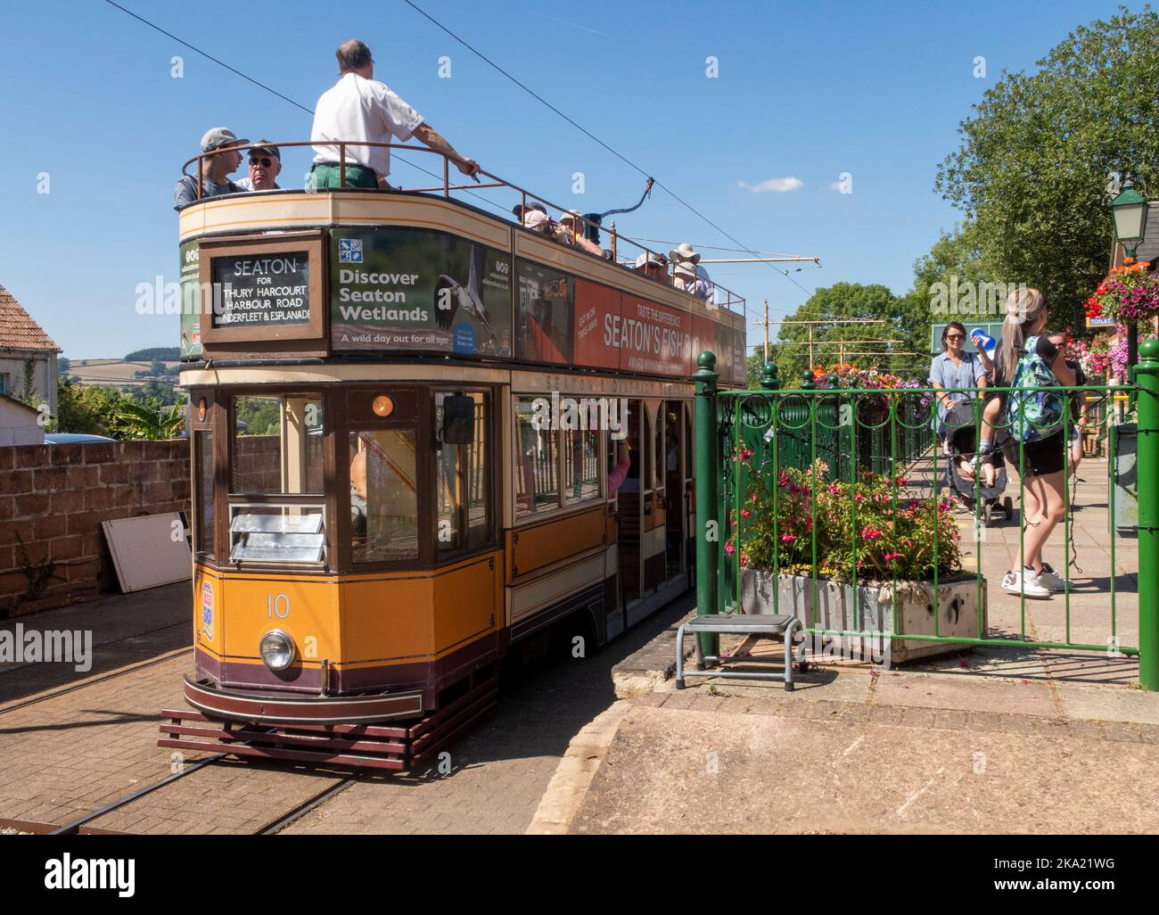 Trams sur le tramway Seaton, une attraction touristique de l'est du Devon qui relie Seaton et Colyton. Banque D'Images